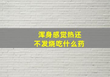 浑身感觉热还不发烧吃什么药