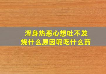 浑身热恶心想吐不发烧什么原因呢吃什么药