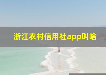 浙江农村信用社app叫啥