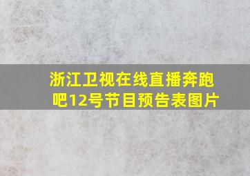 浙江卫视在线直播奔跑吧12号节目预告表图片