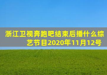 浙江卫视奔跑吧结束后播什么综艺节目2020年11月12号