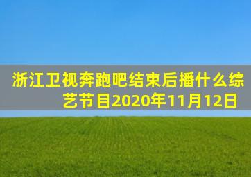 浙江卫视奔跑吧结束后播什么综艺节目2020年11月12日