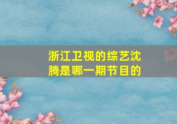 浙江卫视的综艺沈腾是哪一期节目的