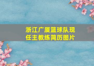 浙江广厦篮球队现任主教练简历图片