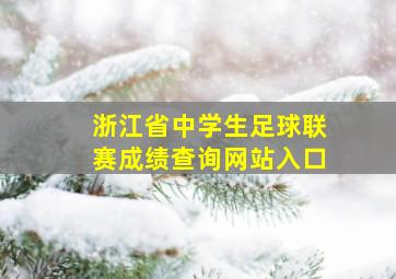 浙江省中学生足球联赛成绩查询网站入口