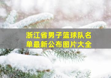 浙江省男子篮球队名单最新公布图片大全