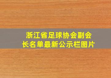 浙江省足球协会副会长名单最新公示栏图片