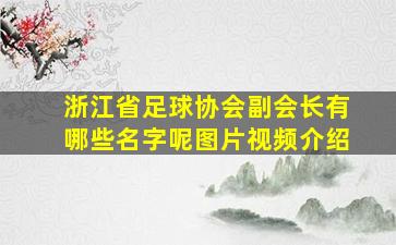 浙江省足球协会副会长有哪些名字呢图片视频介绍