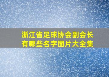 浙江省足球协会副会长有哪些名字图片大全集