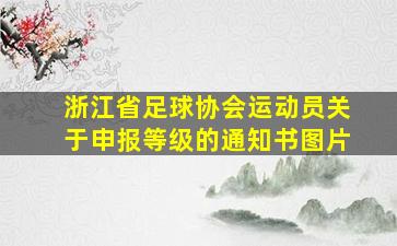 浙江省足球协会运动员关于申报等级的通知书图片