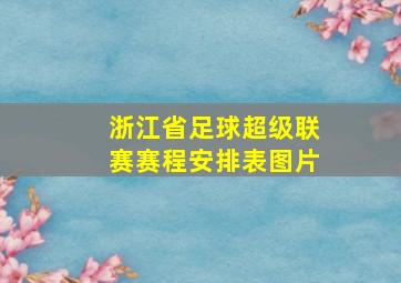 浙江省足球超级联赛赛程安排表图片