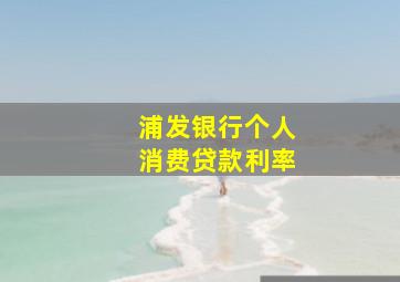 浦发银行个人消费贷款利率