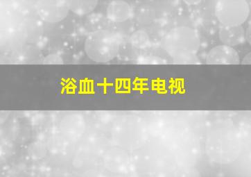 浴血十四年电视