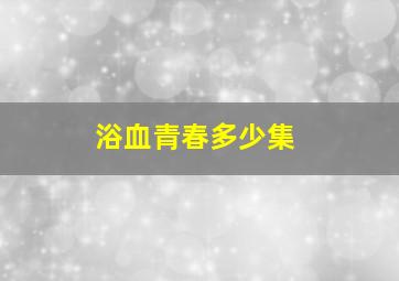 浴血青春多少集