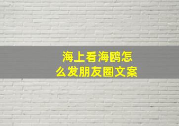 海上看海鸥怎么发朋友圈文案