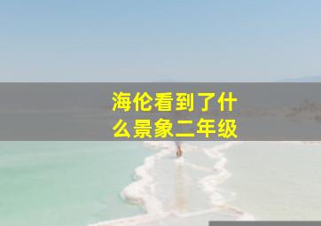 海伦看到了什么景象二年级