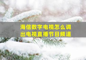 海信数字电视怎么调出电视直播节目频道