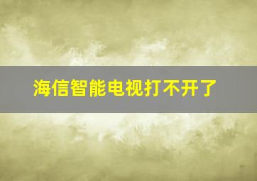 海信智能电视打不开了