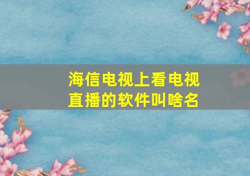 海信电视上看电视直播的软件叫啥名