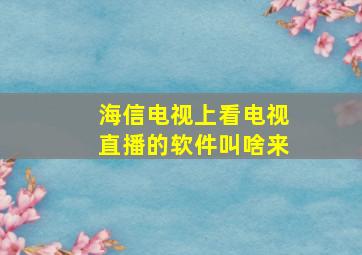 海信电视上看电视直播的软件叫啥来