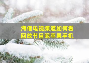 海信电视频道如何看回放节目呢苹果手机