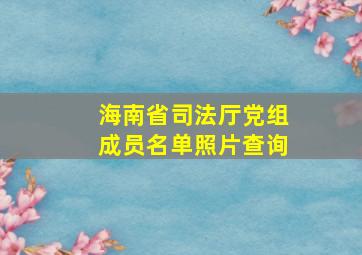 海南省司法厅党组成员名单照片查询