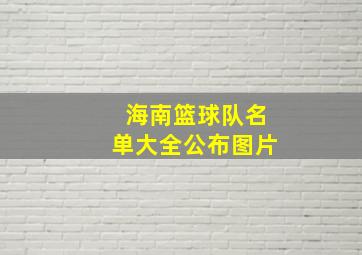 海南篮球队名单大全公布图片