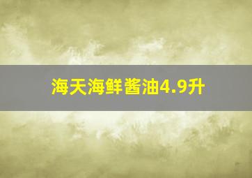 海天海鲜酱油4.9升