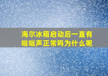 海尔冰箱启动后一直有嗡嗡声正常吗为什么呢