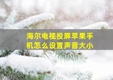 海尔电视投屏苹果手机怎么设置声音大小