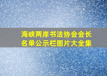 海峡两岸书法协会会长名单公示栏图片大全集