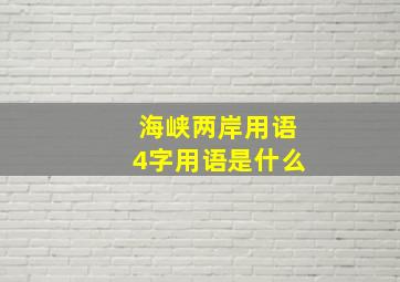 海峡两岸用语4字用语是什么