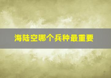 海陆空哪个兵种最重要