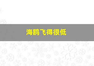 海鸥飞得很低