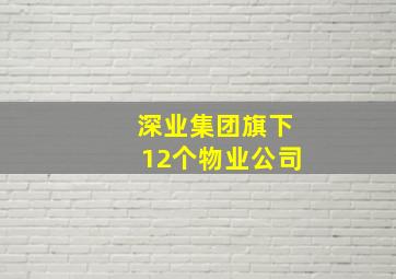 深业集团旗下12个物业公司