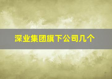 深业集团旗下公司几个