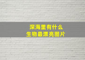 深海里有什么生物最漂亮图片