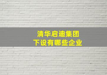 清华启迪集团下设有哪些企业