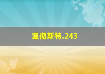 温彻斯特.243