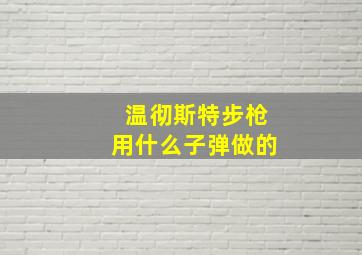 温彻斯特步枪用什么子弹做的