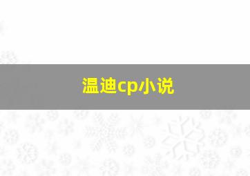 温迪cp小说