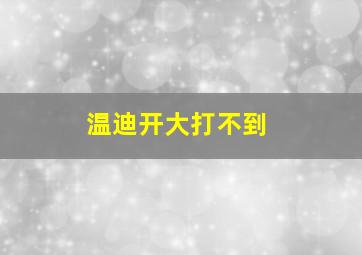 温迪开大打不到