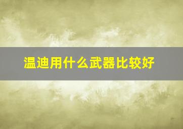 温迪用什么武器比较好