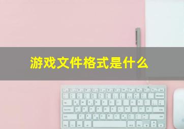 游戏文件格式是什么