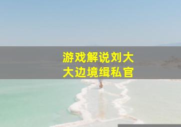 游戏解说刘大大边境缉私官