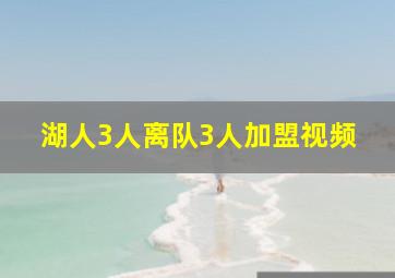 湖人3人离队3人加盟视频