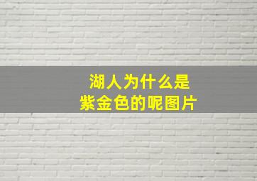 湖人为什么是紫金色的呢图片