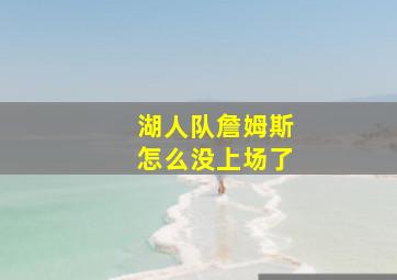 湖人队詹姆斯怎么没上场了