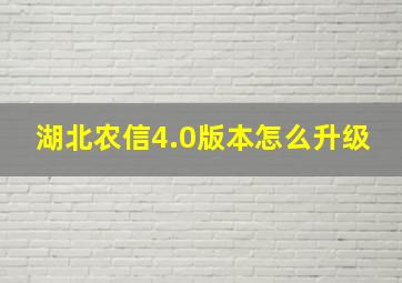 湖北农信4.0版本怎么升级