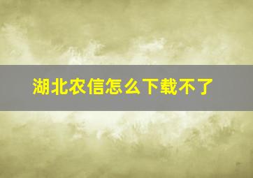 湖北农信怎么下载不了